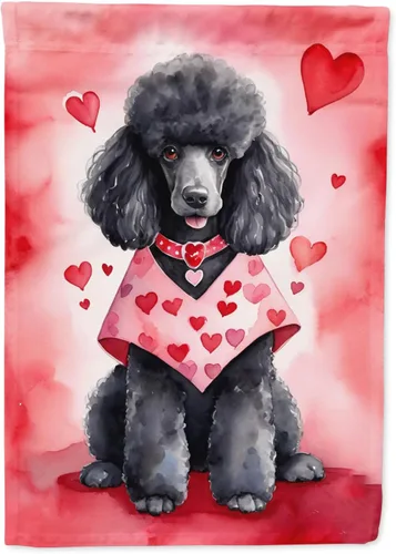 Vista 103 de Caroline's Treasures DAC5252GF Affenpinscher - Bandera de jardín con texto en inglés "My Valentine", bandera decorativa para patio exterior, patio