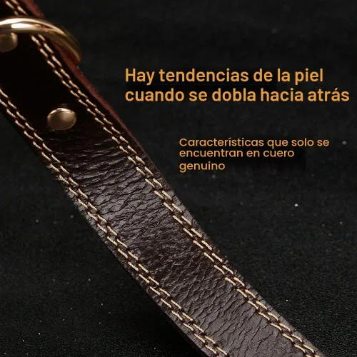 Vista 4 de Collar de perro personalizado de cuero genuino con nombre
