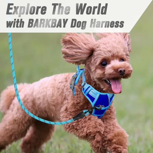 Vista 185 de BARKBAY - Arnés para perro sin tirones con clip frontal, material resistente y reflectante, asa de fácil control para pasear perros grandes