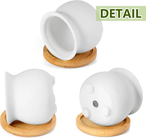 Vista 4 de 6 macetas de cerámica para suculentas de 2.5 pulgadas con bandeja
