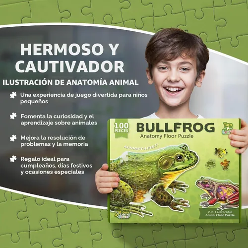 Vista 4 de Bullfrog - Rompecabezas de piso de anatomía animal Rompecabezas de 100 piezas de doble cara Ilustración científicamente precisa de rana de gran