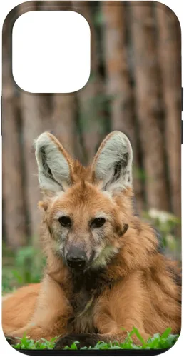 Vista 16 de Funda para iPhone 13 Pro Max Maned Wolf