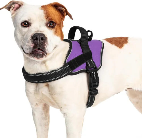 Vista 15 de rabbitgoo Arnés para perro de tamaño pequeño, chaleco para mascotas sin tirones, sin estrangulamiento, fácil de llevar con una hebilla, reflectante