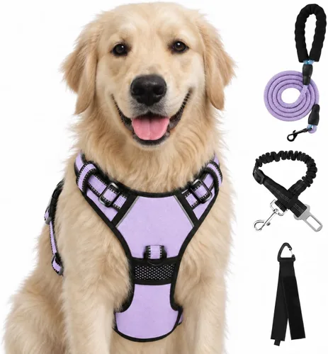 Vista 28 de FURRYFECTION - Arnés para perro a cuadros con correa y cinturón de Rosa