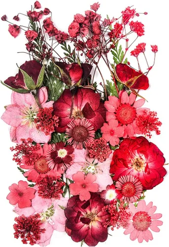 Vista 13 de 14 Tipos 37 piezas Flores Azules Secas Prensadas para Moldes de Resina, YouthBro Flores Secas Naturales Prensadas para Manualidades de Arte DIY