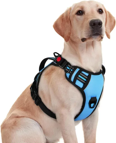 Vista 11 de rabbitgoo Arnés para perro de tamaño pequeño, arnés para mascotas sin tirones con mango acolchado suave, chaleco reflectante ajustable con 3