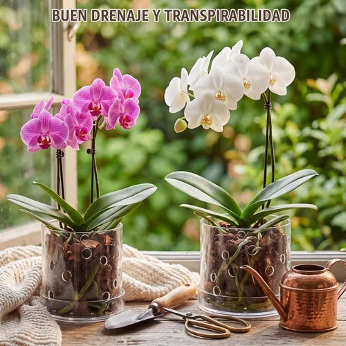 Vista 4 de Maceta de orquídea acrílica transparente de 5/6 pulgadas con agujeros