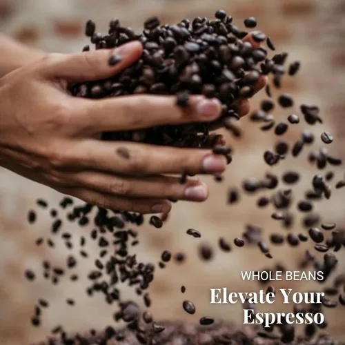 Vista 6 de Caffe Vergnano 1882 Antica Bottega Espresso de grano entero arábica tostado medio – Granos de café italianos chocolate, nueces y notas de caramelo