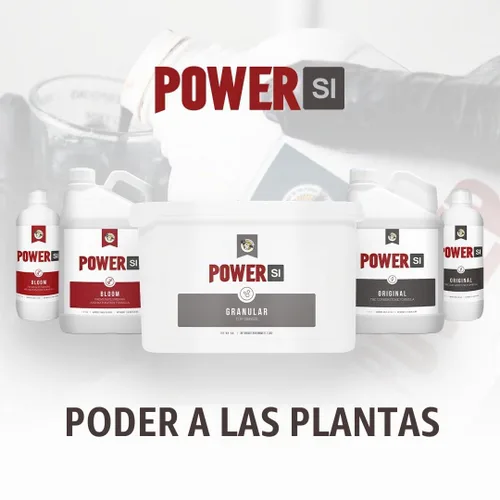 Vista 5 de PowerSI - Suplemento de sílice original de 1 litro, aditivo de fortalecimiento vegetal con ácido monosilícico, mejora la absorción de nutrientes