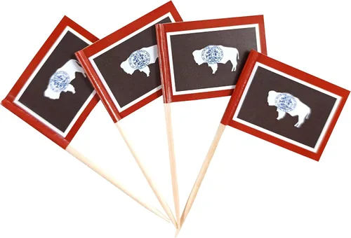 Vista 8 de QQSD Bandera de palillo de dientes de Alabama para decoración de cupcakes, 100