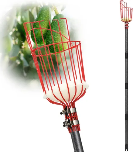 Vista 10 de DonSail Herramienta de caña para recoger frutas con cesta de mango largo, 35-65 pulgadas ajustable de manzana naranja con cesta para recogedor