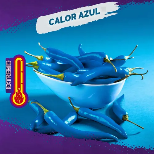 Vista 5 de Takis Blue Heat edición limitada, paquete de 2