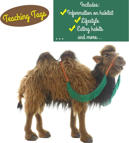 Vista 5 de HANSA Bactrian 2 Joroba Camel Peluche