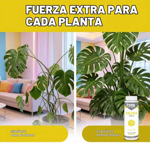 Vista 3 de TPS NUTRIENTS Silica Gold Nutriente y Suplemento para Fuerza de Plantas con Silicio Biodisponible 8 oz (250mL)