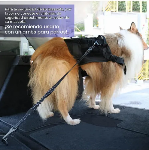 Vista 8 de AUBELL Cinturón de seguridad para perro, 3 en 1, ajustable, reflectante, resistente, arnés de perro con gancho de clip, cierre y hebilla, mosquetón