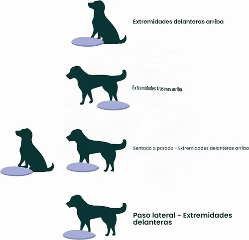 Vista 5 de FitPAWS® Disco de equilibrio para perros Equipo de ejercicio para perros Herramienta de entrenamiento para fuerza, núcleo, estabilidad y Azul