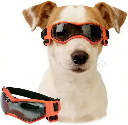 Vista 21 de Antiparras anteojos de sol para gatos o perros pequeños, Negro Negro clásico
