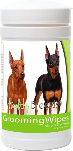 Vista 139 de Healthy Breeds Toallitas multiusos para aseo y desodorización para perros Affenpinscher – Más de 200 razas – Limpia las almohadillas para las patas