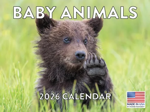 Vista 148 de Calendario mensual de pared de alpaca 2025 Fabricado en Estados Unidos