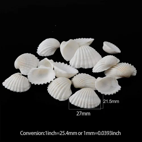 Vista 4 de SINKOO Surtido de conchas pequeñas de concha marina blanca natural a granel para decoración de playa de bricolaje