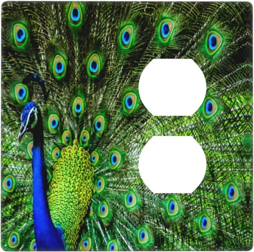 Vista 17 de Cubierta decorativa para toma de corriente de pavo real, cubierta de salida de 1 banda, cubierta de placa de interruptor de luz, placas