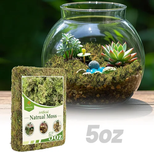 Vista 10 de Musgo verde natural de 10 onzas para principiantes, musgo de inicio para plantas de interior, jardines de hadas artificiales, mini mosswall