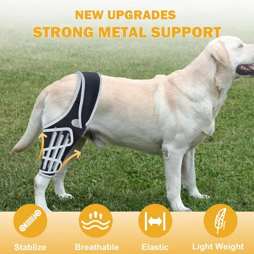 Vista 2 de Rodillera para perros con ACL desgarrado, soportes ajustables para patas de perro, soporte de soporte para patas traseras o delanteras, soporte