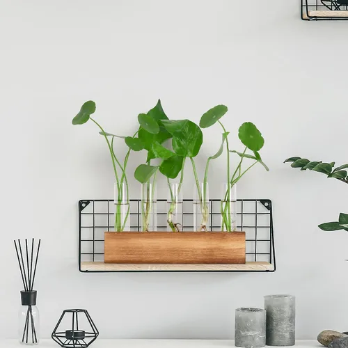 Vista 5 de Estaciones de propagación YIBOT, terrario de plantas con soporte de madera, regalos de jardinería de cumpleaños para mujeres, madres amantes