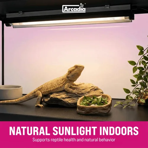 Vista 2 de Arcadia Pro T5 UVB Kit de iluminación - 39W - Dragón