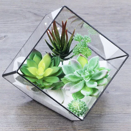 Vista 2 de Supla 5 piezas surtidas de plantas suculentas artificiales sin maceta, pequeños cactus verdes, selecciones de Echeveria, suculentas falsas a granel