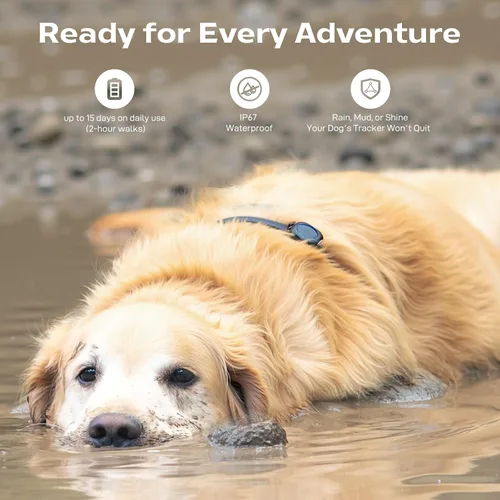 Vista 6 de Aorkuler Rastreador GPS para perros – Sigue a tu perro hasta 3.5 millas sin teléfono o señal celular Sin aplicación, sin tarifas mensuales Ideal