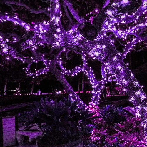 Vista 3 de 100 luces LED de energía solar, cadena de hadas de Navidad para jardín al aire libre e