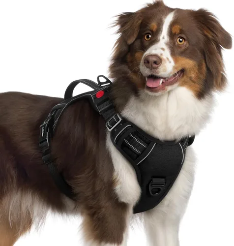 Vista 21 de rabbitgoo Arnés para perro de tamaño pequeño, arnés para mascotas sin tirones con mango acolchado suave, chaleco reflectante ajustable con 3