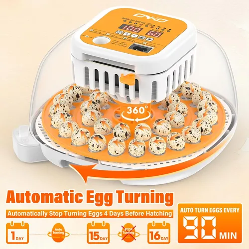 Vista 3 de 36 incubadoras de codorniz para incubar huevos, incubadora de huevos de codorniz con giro automático de huevos y control de humedad, control