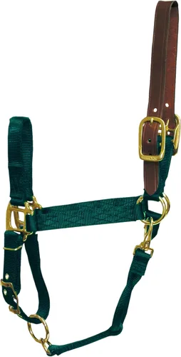 Vista 12 de Hamilton Cabestro ajustable de nailon de 1 pulgada con cabeza de cuero y broche de garganta, grande, negro