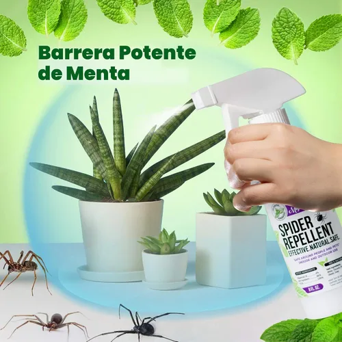 Vista 3 de Mighty Mint Aceite de menta repelente de arañas de 8 onzas, espray natural para arañas, insectos y más (paquete de 2)