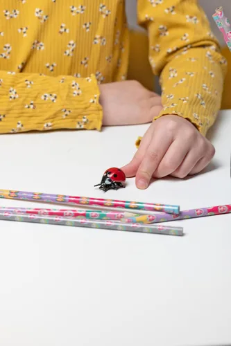 Vista 2 de Papo - Figura realista de mariquita - A partir de 3 años - Colección de animales de jardín - Mundo educativo de insectos - Juguete de idea de regalo