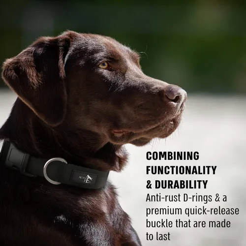Vista 4 de Active Pets Collar de liberación rápida para perros pequeños y grandes, collar de seguridad ajustable con hebilla segura, comodidad transpirable