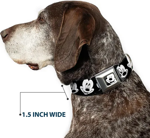 Vista 7 de Buckle-Down Collar de perro con hebilla de cinturón de seguridad, dálmatas para correr, patas, negro, gris, blanco, negro, 1.5 pulgadas de ancho, se