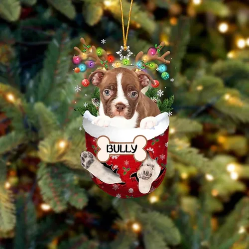 Vista 82 de IZI POD Affenpinscher Adorno de Navidad personalizado para perro, adorno de bolsillo de nieve para perro para árbol de Navidad, adorno acrílico