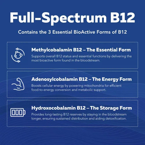 Vista 6 de BioActive Complejo de vitamina B, listo para el flujo sanguíneo, complejo B metilado, con metilfolato, 3 formas bioactivas de B12, BenfoPure® B1