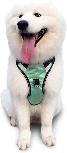 Vista 25 de Arnés antitirones para perro pequeño con 2 hebillas de liberación rápida y mango de fácil control, chaleco suave reflectante sin estrangulamiento