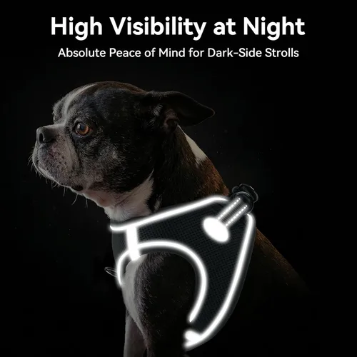 Vista 28 de Joytale Arnés para Perros Pequeños, Chaleco de Malla Transpirable Step-in, Arneses Acolchados Suaves Reflectantes para Gatos y Perros Cachorros