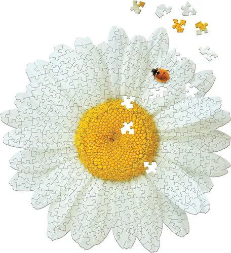 Vista 4 de Madd Capp: I AM Daisy - Rompecabezas de 350 piezas - Rompecabezas con forma floral, tamaño terminado de 23 x 23 pulgadas, incluye hoja informativa