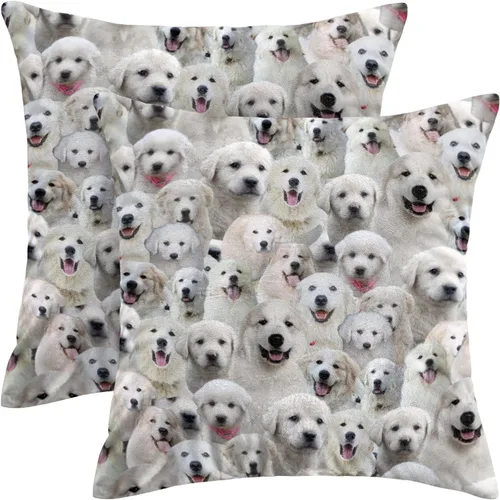 Vista 25 de Regalo para amantes de Airedale Terrier, 2 fundas de almohada de Bingley Terrier, fundas de almohada con estampado de cara de perro, fundas
