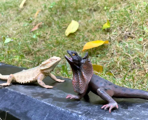 Vista 5 de Gemini&Genius Juguetes de lagarto, figuras de lagarto de dragón barbudo, regalo de accesorios de broma, juego aterrador, divertido adorno de pastel