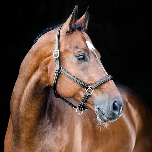Vista 3 de HORZE Warren Caballo Caballo De Cuero Genuino Ajustable Suave Herrajes De Acero Inoxidable - Negro