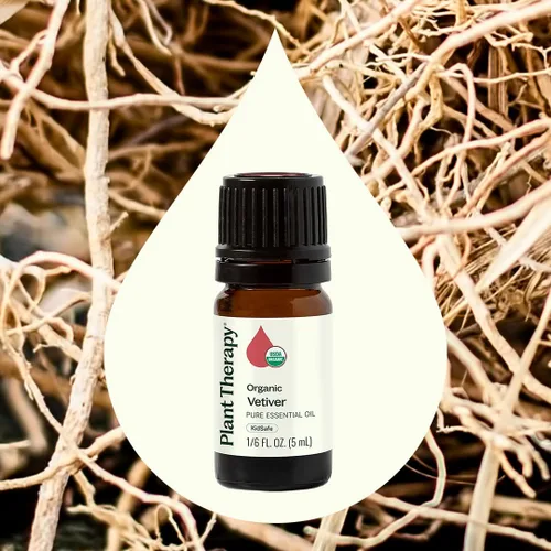 Vista 4 de Plant Therapy Aceite esencial de vetiver orgánico, 0.2 fl oz (1/6 oz) Aceite esencial puro sin diluir, ideal para meditación y cuidado natural