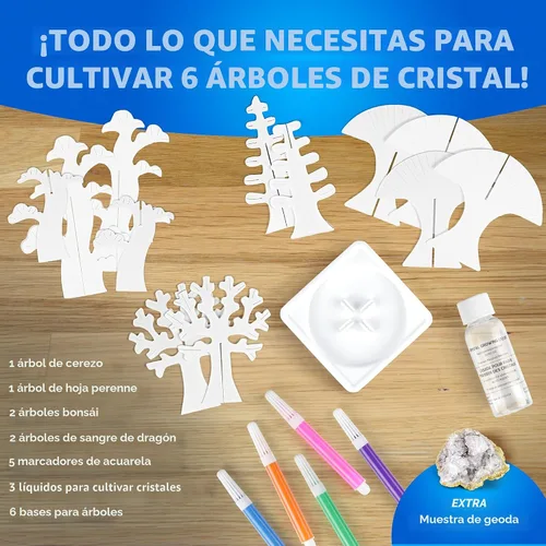 Vista 5 de Kits de manualidades National Geographic para niños - Kit de cultivo de cristales, haz crecer 6 árboles de cristales en solo 6 horas, kit