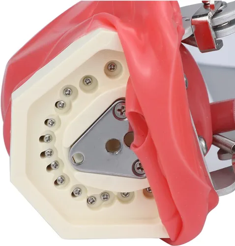 Vista 7 de NSKI Simulador Dental Nissin Manikin Phantom Head Dental Phantom Head Modelo Banco Soporte para Educación Dentista